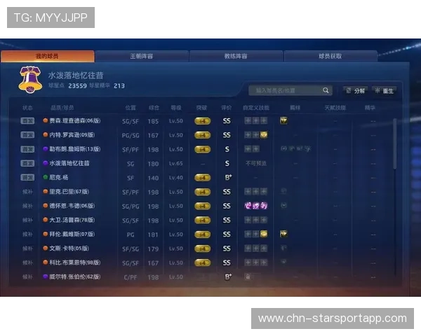 张伯伦或将影响教练组意见综述走向