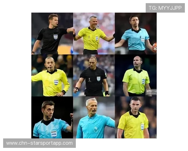 职业联赛的执法体系评价